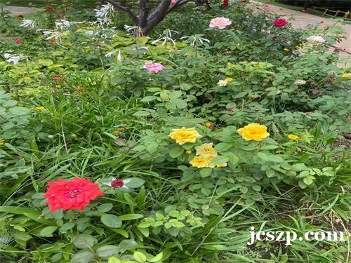 郑州夜总会招聘-新开夜场招募提供更高公寓住宿